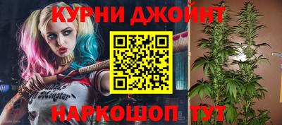 гашик Новодвинск