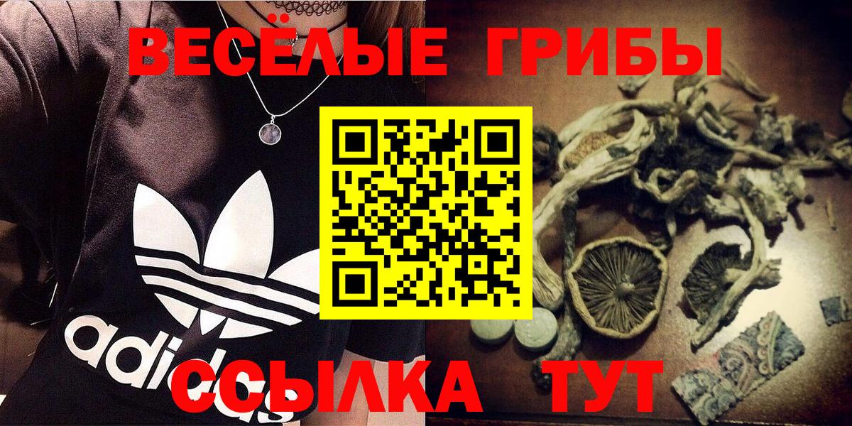 Псилоцибиновые грибы MAGIC MUSHROOMS  Вход с VPN  Новозыбков  Галлюциногенные грибы ЛСД 