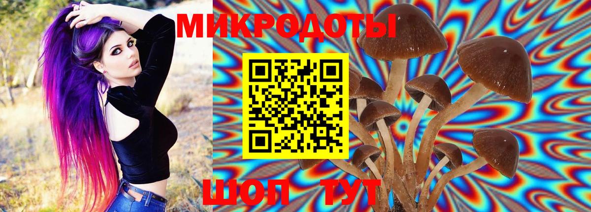 Псилоцибиновые грибы прущие грибы Новозыбков